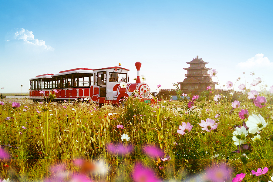 20-seater clausa raeda classic magna invia sightseeing train