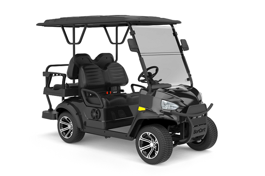 Electric Golf Cart C2+2