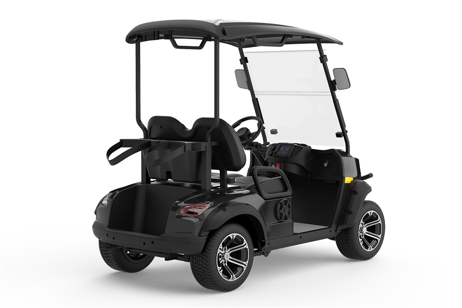 Electric Golf Cart C2