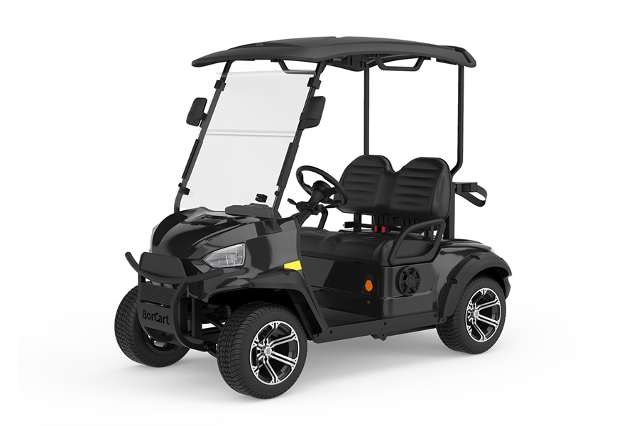 Electric Golf Cart C2